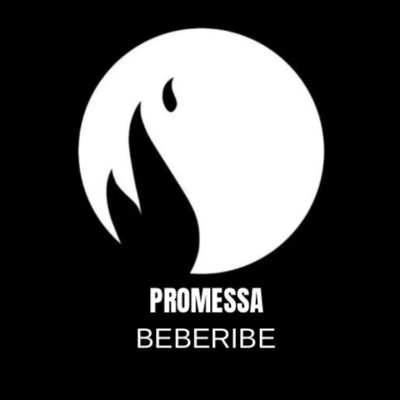 Imagem da campanha Rifa solidária em prol da construção da igreja