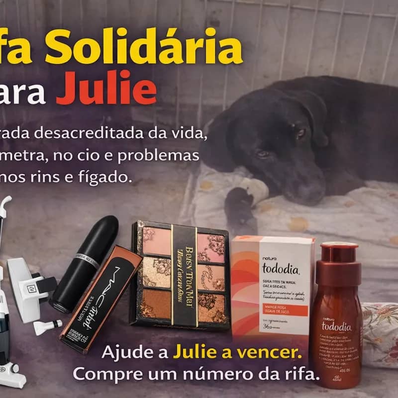 Imagem da campanha Ajude a Julie a viver