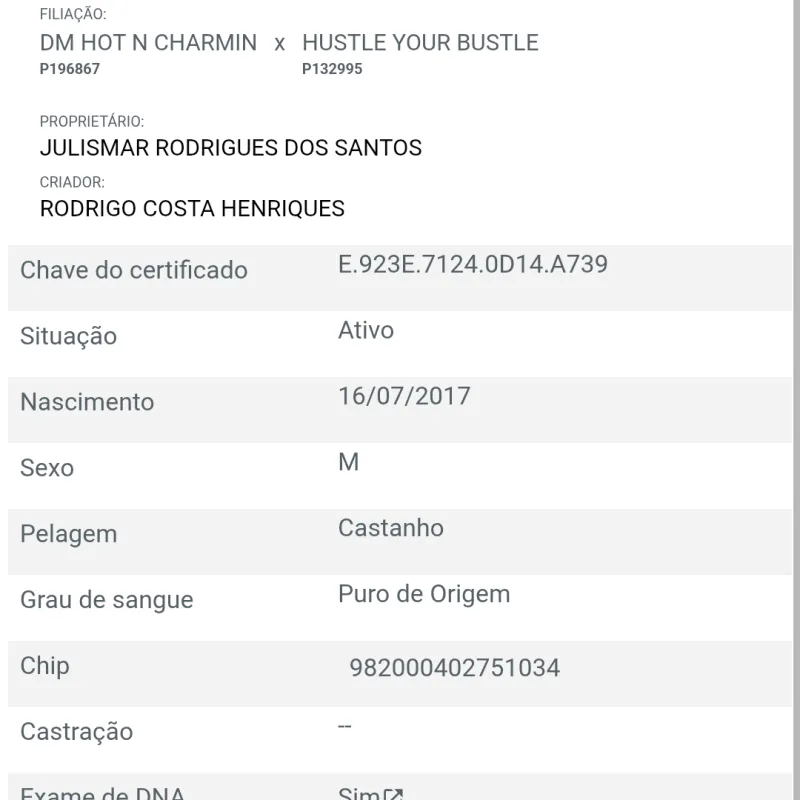 Imagem da campanha Hhjj