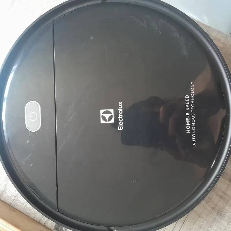 Imagem da campanha Me ajudem a dar um final de vida digno pra Pink