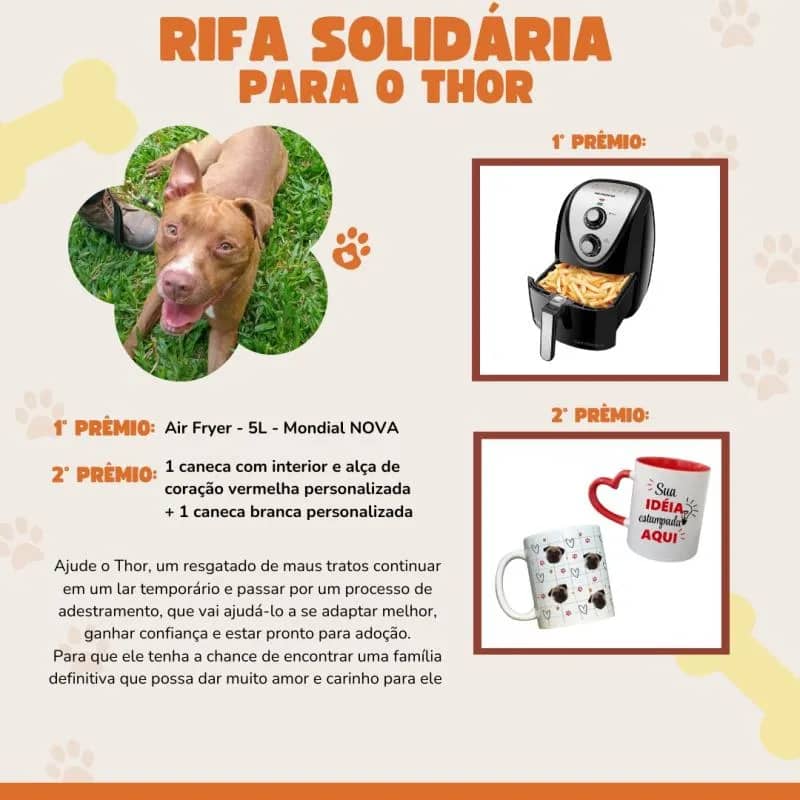 Imagem da campanha AJUDE O THOR 🐶