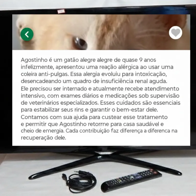 Imagem da campanha Ajudar Tratamento Agostinho