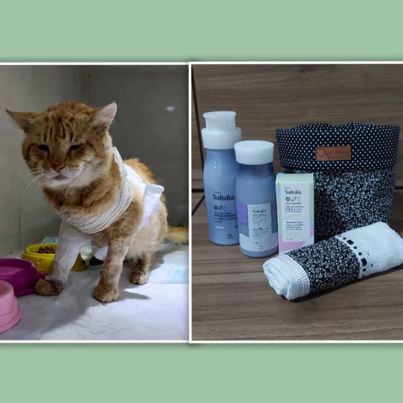 Imagem da campanha AJUDE O AMARELÃO