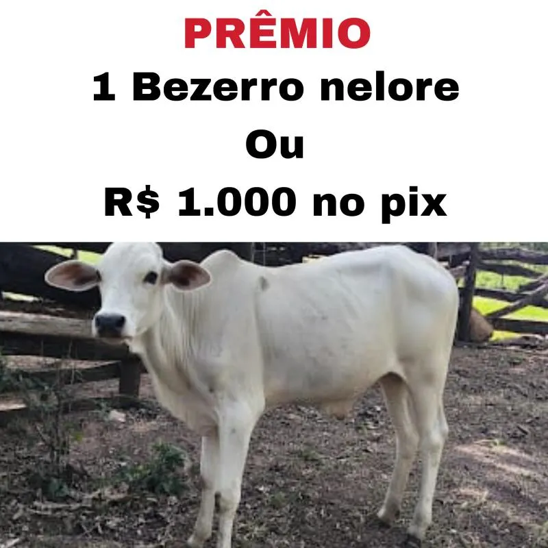 Imagem da campanha RIFA SOLIDÁRIA