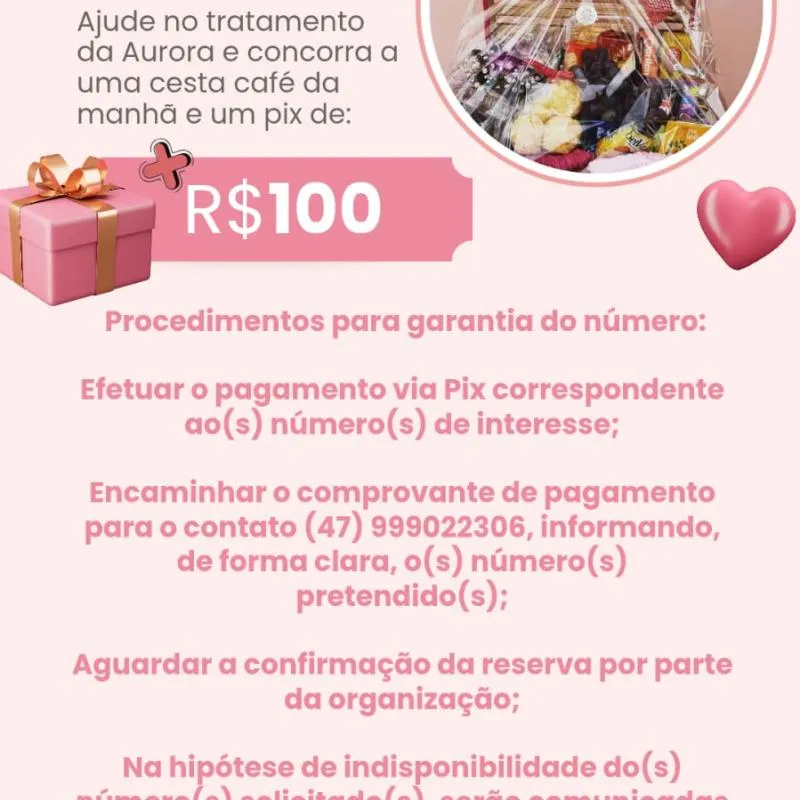 Imagem da campanha Rifa Solidária (Pequena Aurora