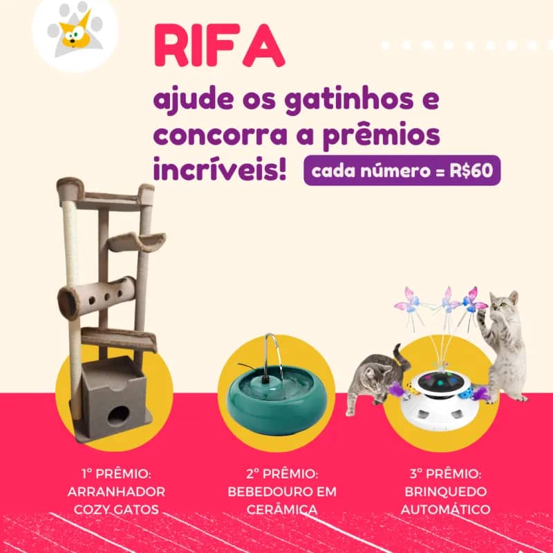 Imagem da campanha Rifa para ajudar os gatinhos