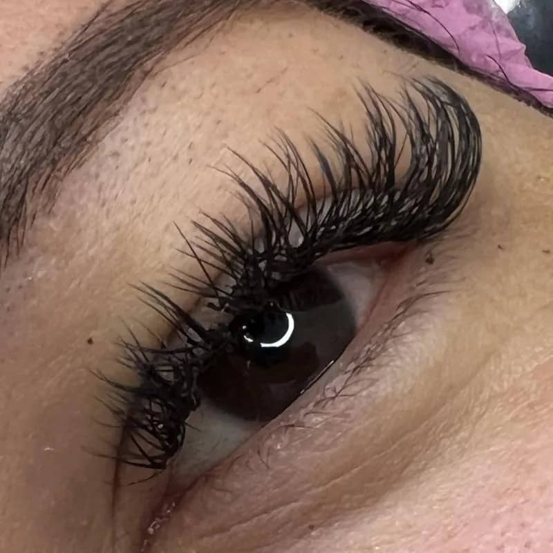 Imagem da campanha Rifa Premiada Studio Carneiro