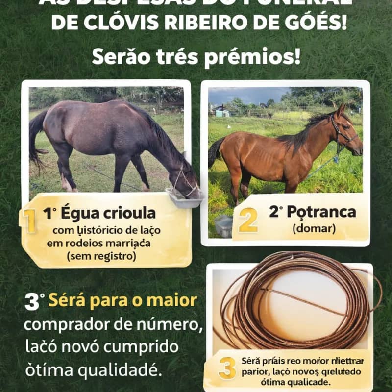 Imagem da campanha Ação solidária para cobrir gastos do velório de CLÓVIS RIBEIRO DE GÓES