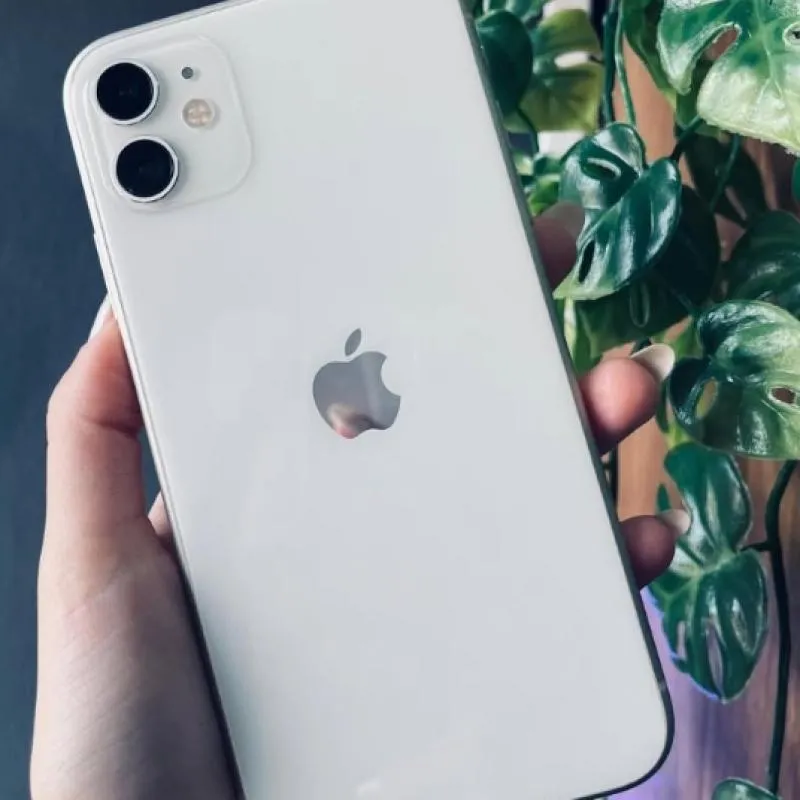 Imagem da campanha 📱 iPhone 11 novinho na rifa💰