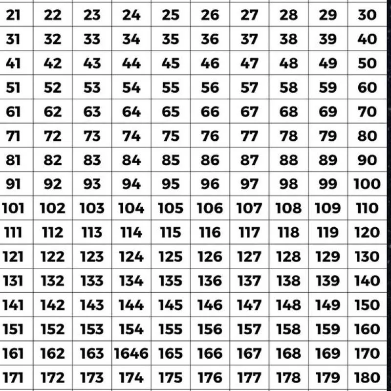 Imagem da campanha Salvador Open e Pan ibjjf