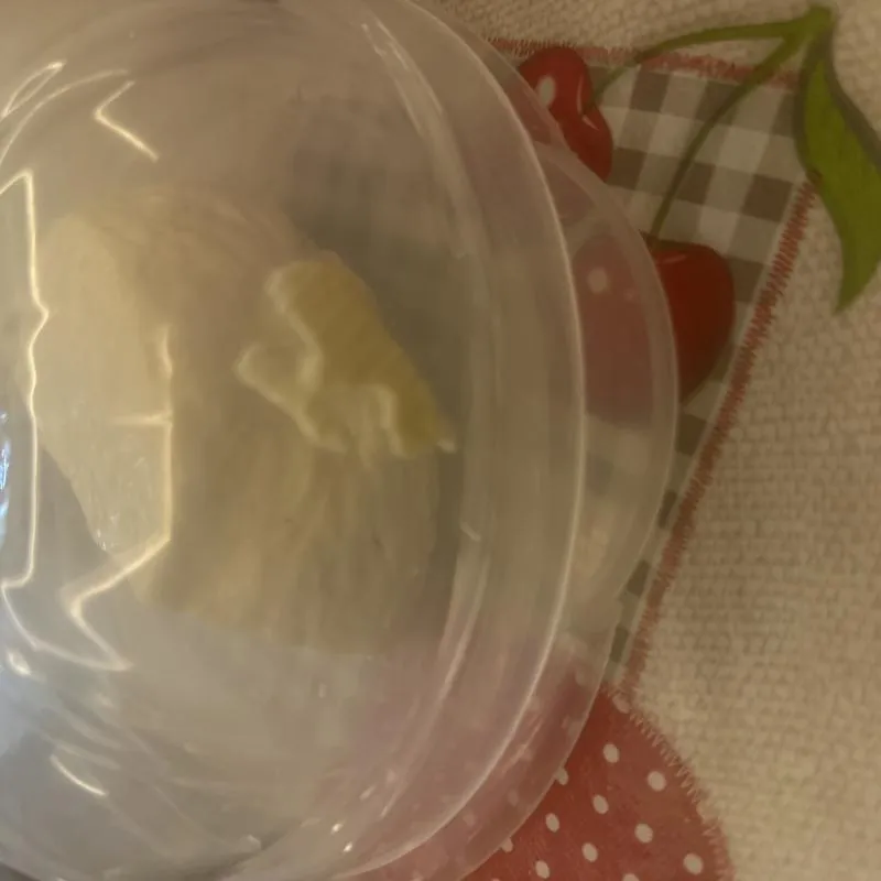 Imagem da campanha Queijo