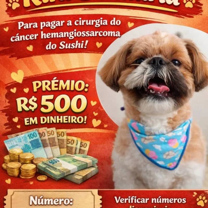 Imagem da campanha Ajude o Sushi