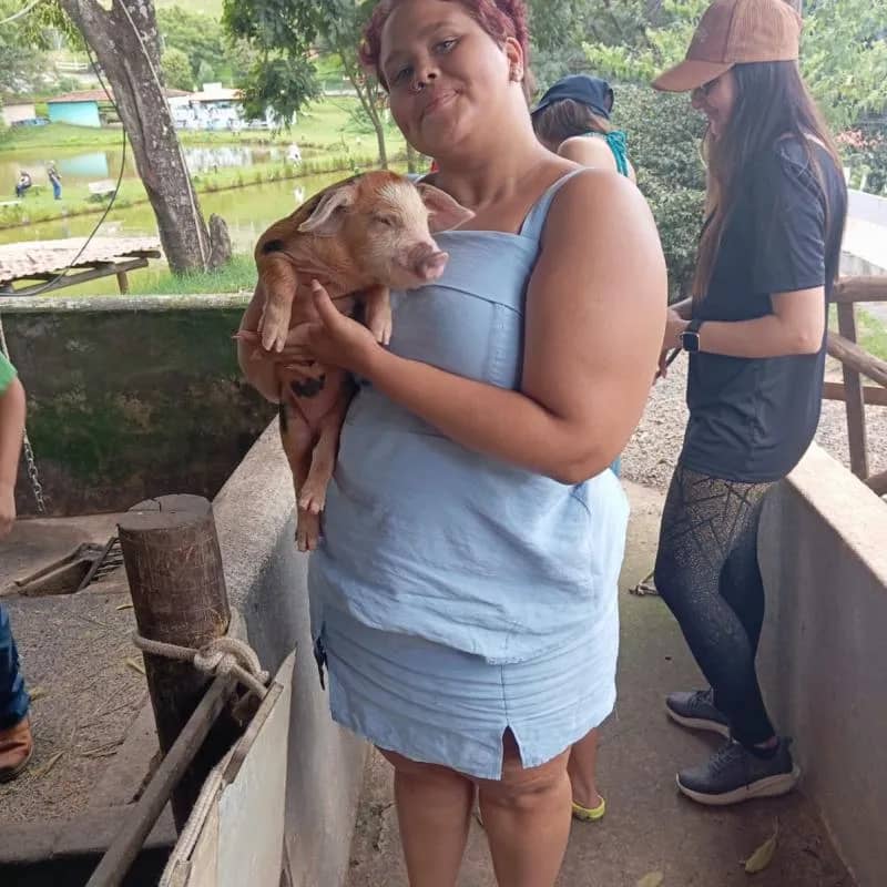 Imagem da campanha Ajude a pagar a minha faculdade de veterinária