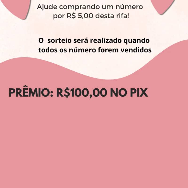 Imagem da campanha Rifa promocional