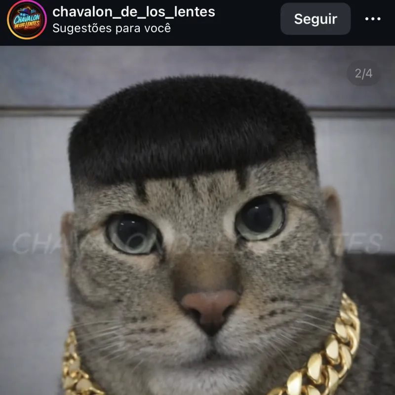 Imagem da campanha Ggg