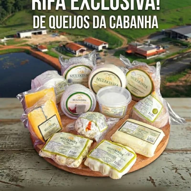Imagem da campanha Rifa Queijos premiados da Cabanha Mulekinha
