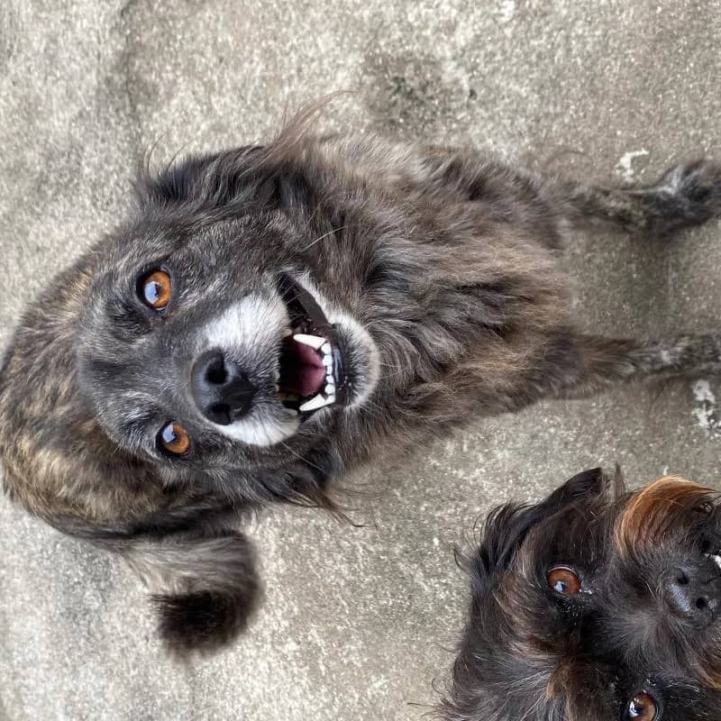 Imagem da campanha Teste