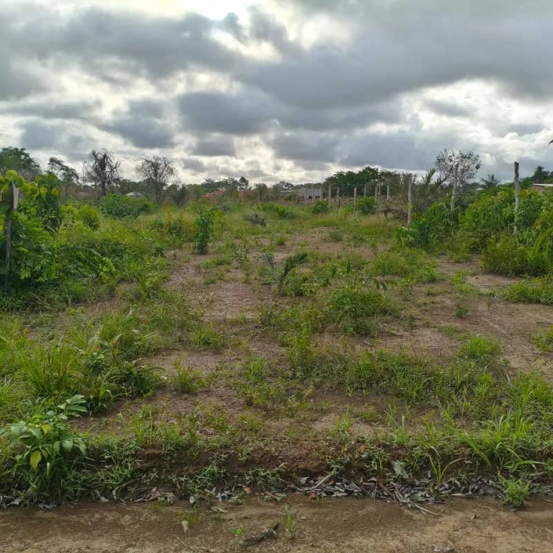 Imagem da campanha RIFA BENEFICENTE - "PROJETO ORCA"