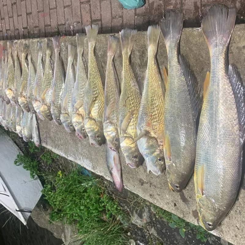 Imagem da campanha Rifa teste pxt