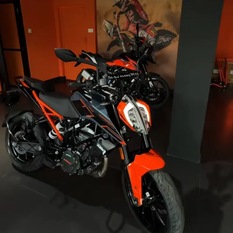 Imagem da campanha La suerte para todos 🍀🍀