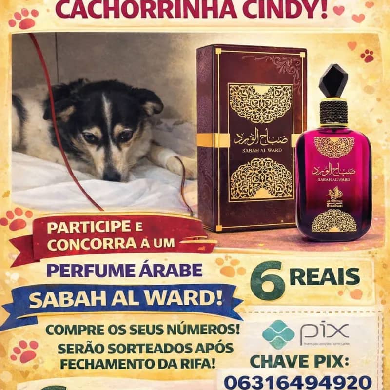 Imagem da campanha Rifa Solidária em Prol de Cindy!