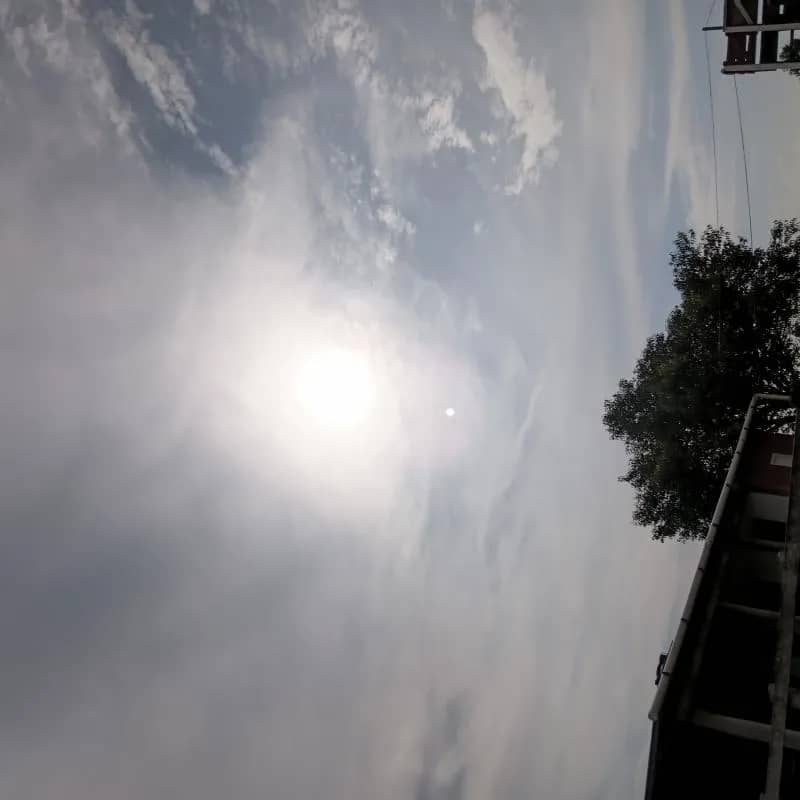 Imagem da campanha 7Talita