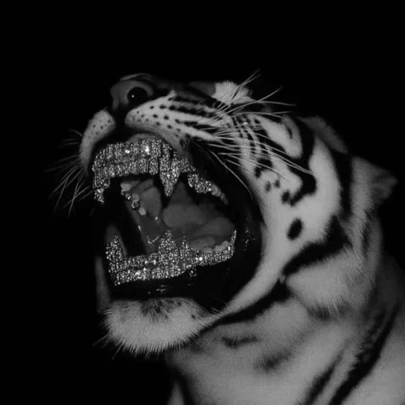 Imagem da campanha 50 REAIS PRIMEIRO LUGAR?