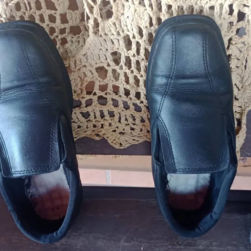 Imagem da campanha camonah