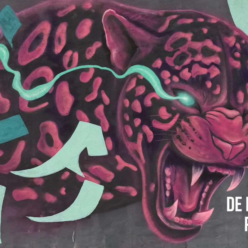 Imagem da campanha De Foz para o Mundo