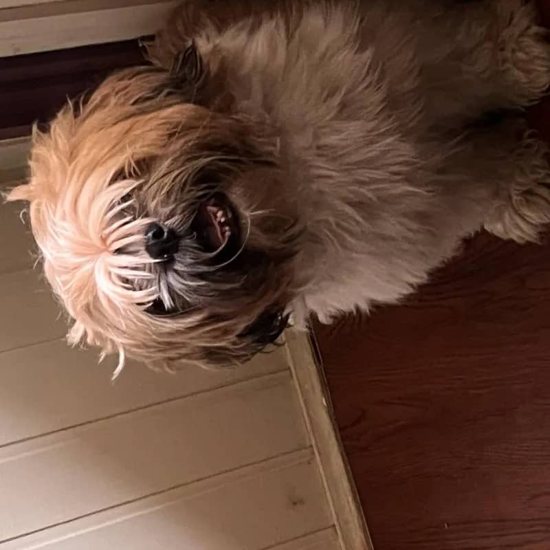 Imagem da campanha Campanha Solidária Matias