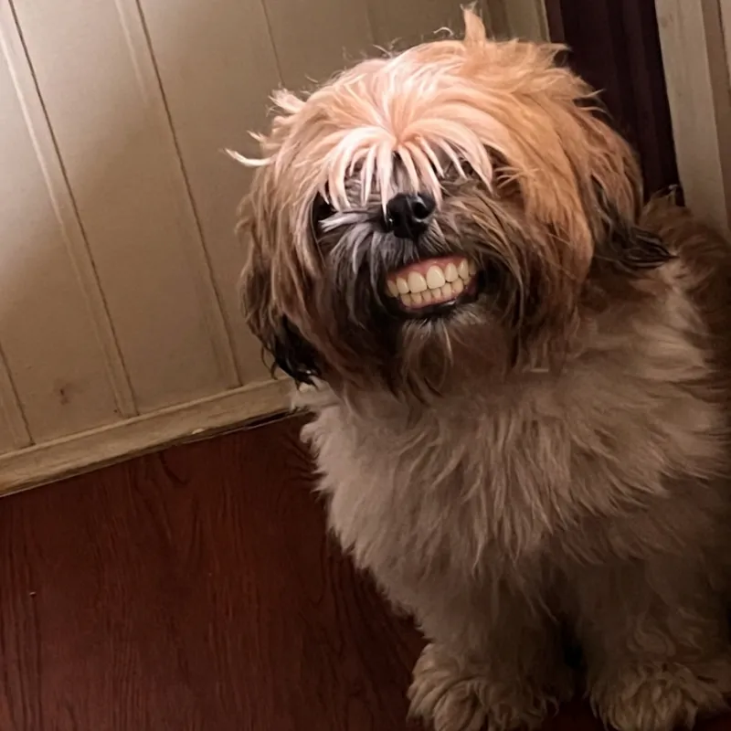 Imagem da campanha Campanha Matias