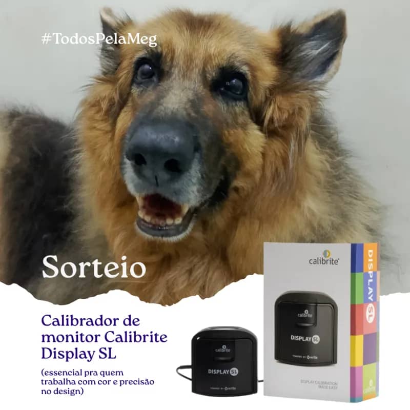 Imagem da campanha Rifa em Prol do Tratamento da Meg 💛 Prêmio: Calibrador de monitor Calibrite Display SL