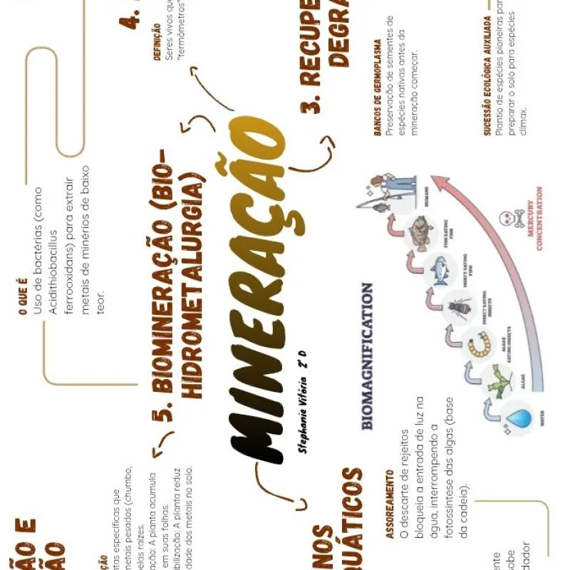 Imagem da campanha hh