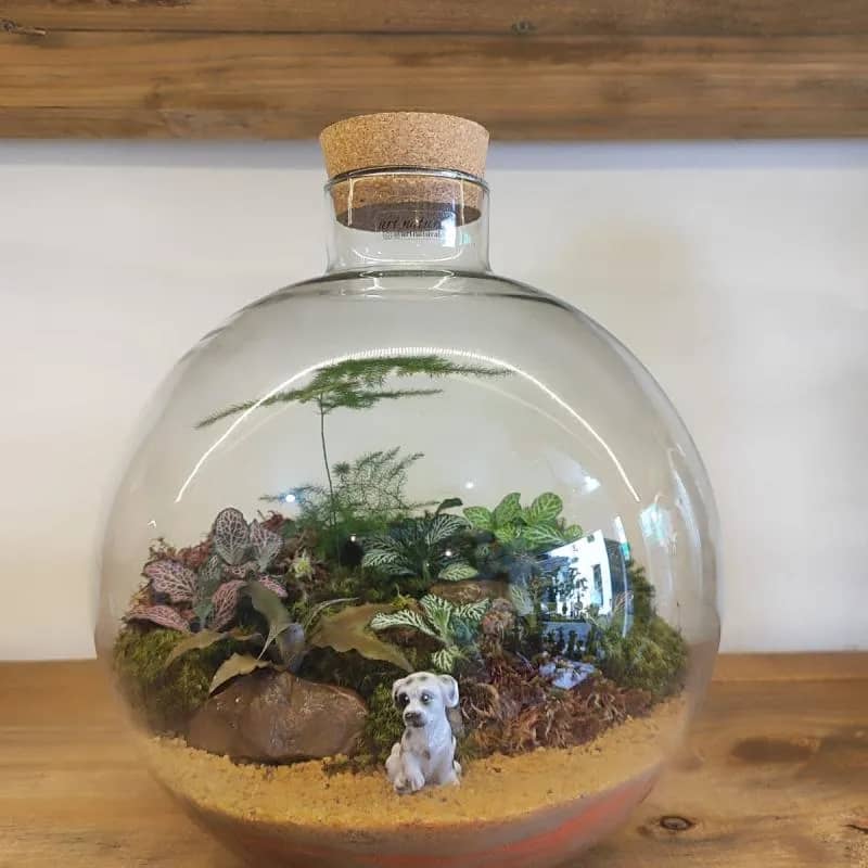 Imagem da campanha Sorteio Especial