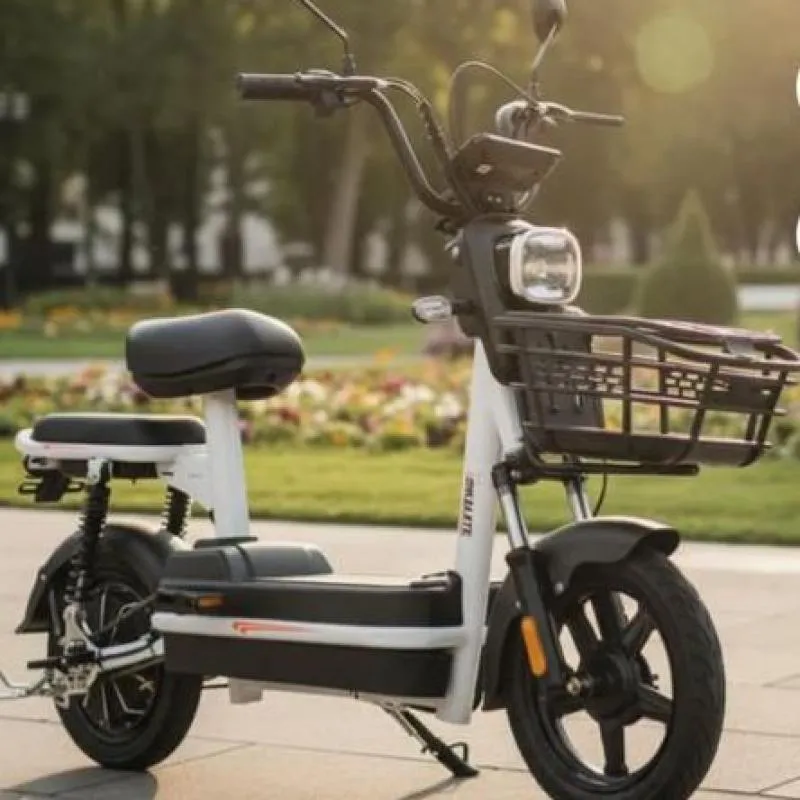 Imagem da campanha 🚲 Rifa Bike Elétrica