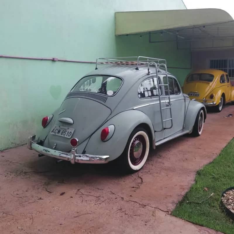 Imagem da campanha Uma nova história para o Zé ♥