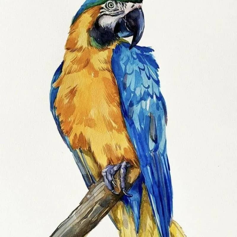 Imagem da campanha gyju7865