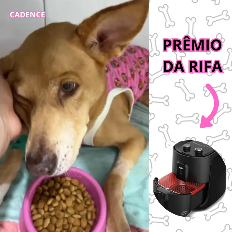 Imagem da campanha Juntos pela Cadence