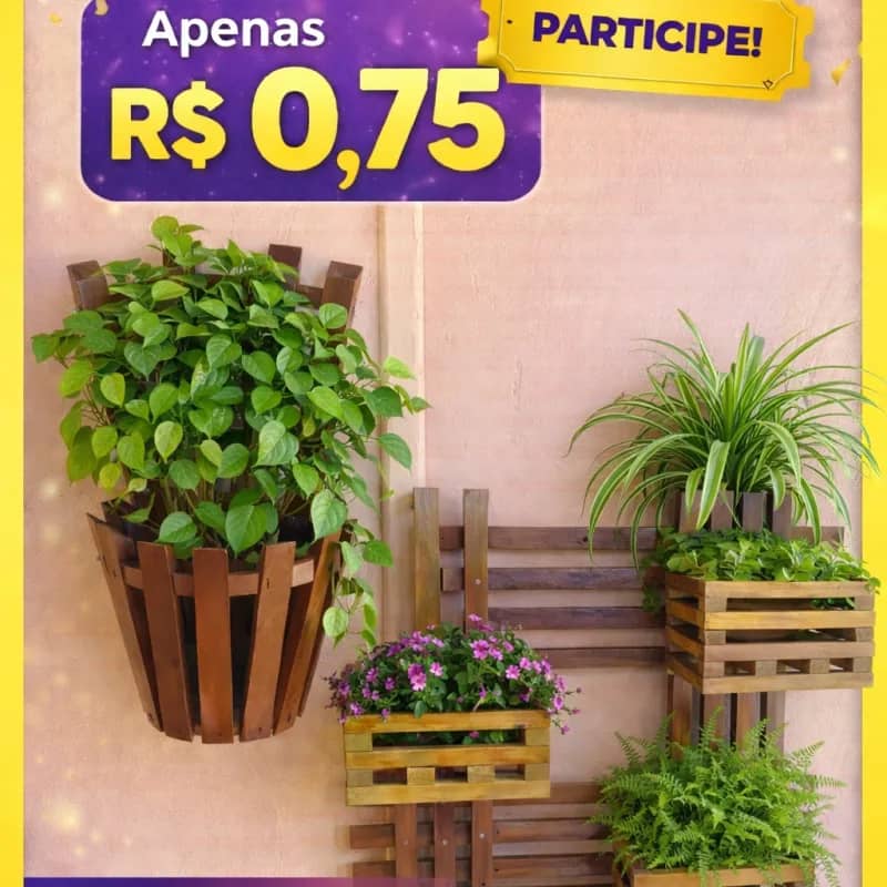 Imagem da campanha A sua sorte é agora!!!🤩🤩🤩