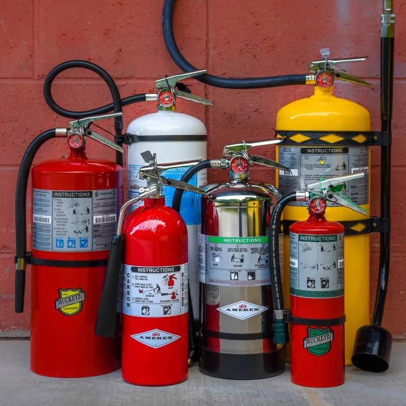 Imagem da campanha coisa