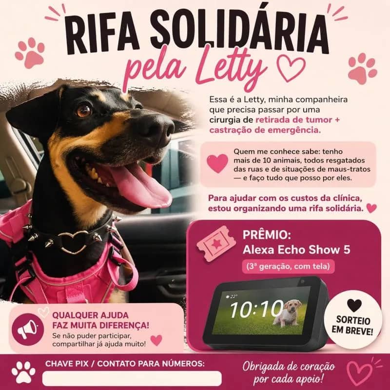 Imagem da campanha Campanha solidária pela Letty