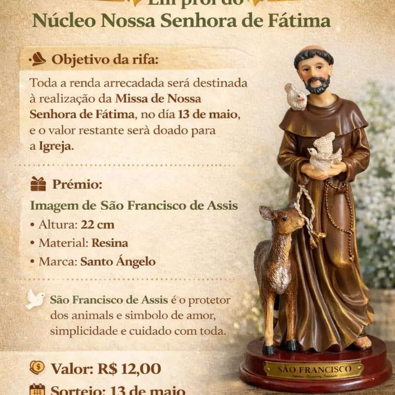 Imagem da campanha Em prol do Núcleo Nossa Senhora de Fátima