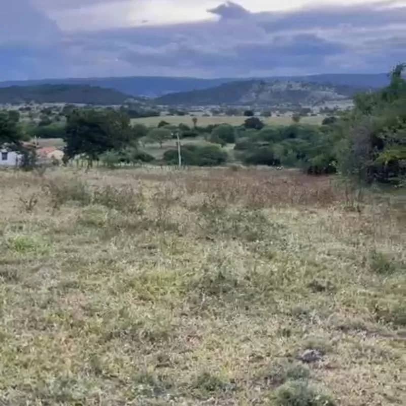 Imagem da campanha Sorteio de um terreno