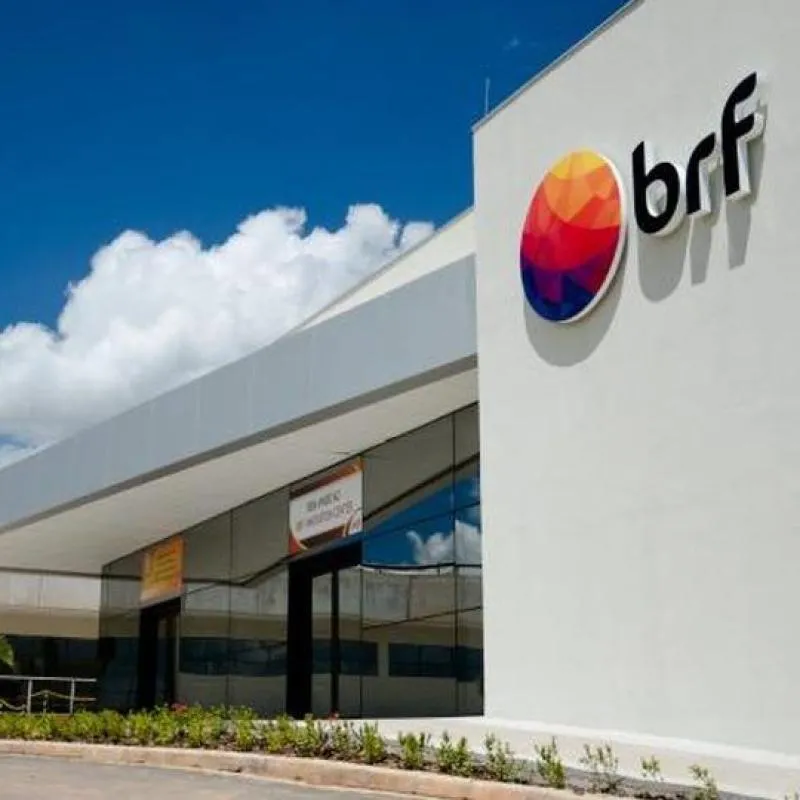 Imagem da campanha 5000