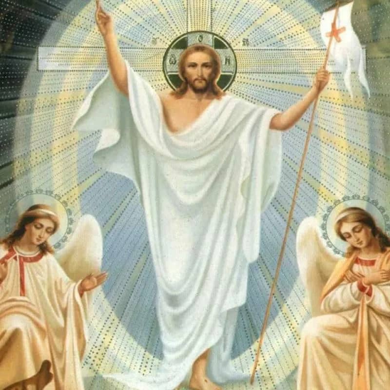 Imagem da campanha Teste