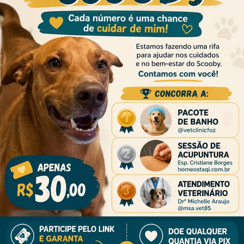 Imagem da campanha Campanha para o Scooby