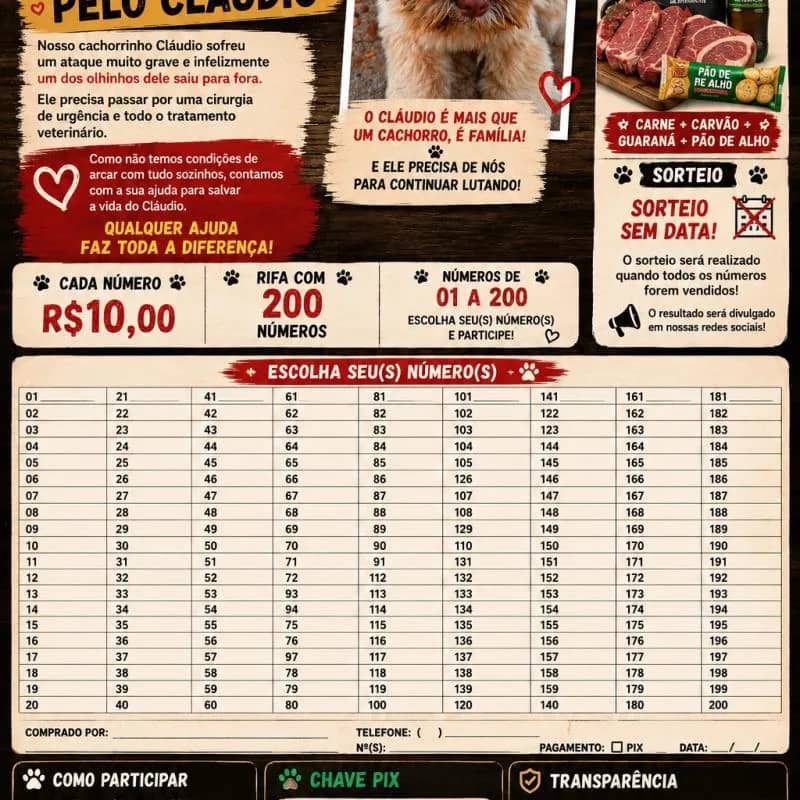 Imagem da campanha Rifa solidária pelo Cláudio
