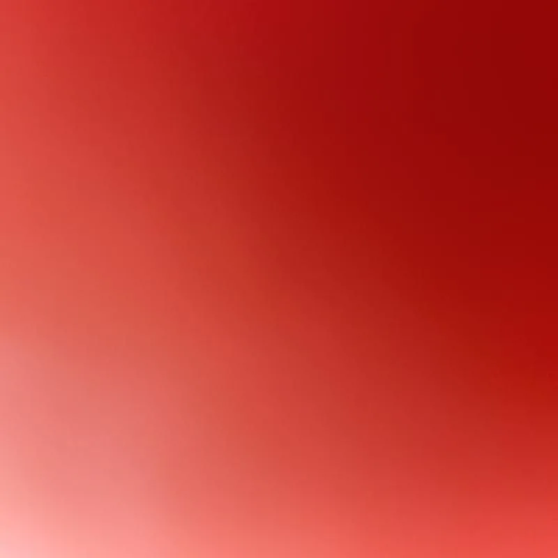 Imagem da campanha Sorteio da Sorte
