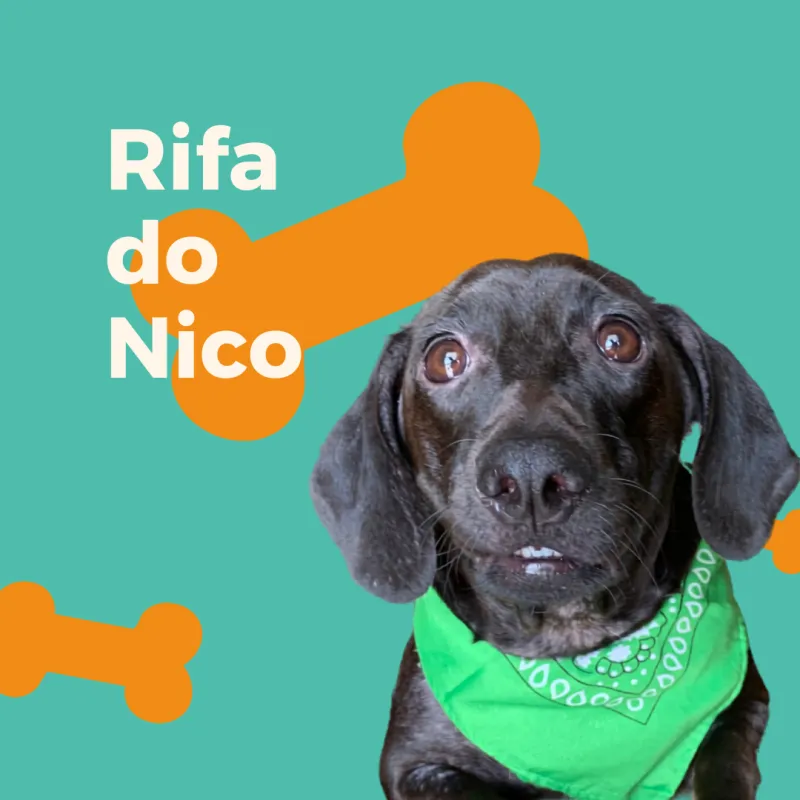 Imagem da campanha Rifa do Nico