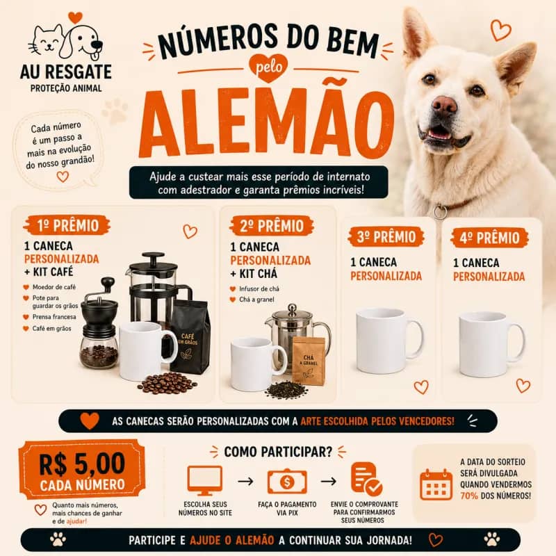 Imagem da campanha Ação Solidária pelo Alemão
